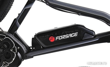 Электровелосипед FORSAGE Fusion FEB25026004 (457)