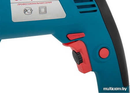 Ударная дрель Энергомаш ДУ-2195П