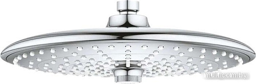 Душевая лейка Grohe Euphoria 260 26457000