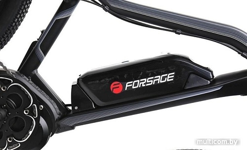 Электровелосипед FORSAGE Fusion FEB25026004 (457)