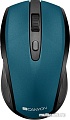 Мышь Canyon CNS-CMSW08G