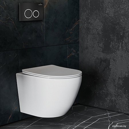 Панель смыва Roxen Santi 410260B