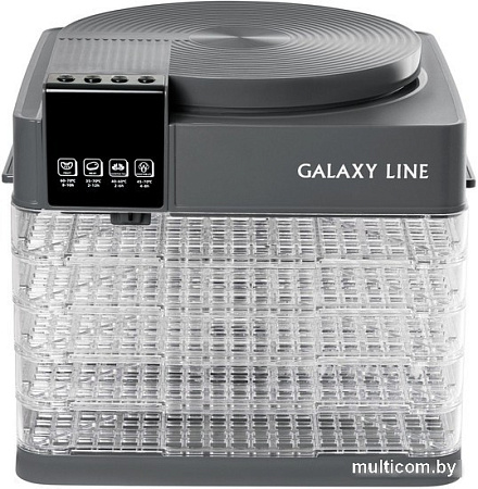 Сушилка для овощей и фруктов Galaxy Line GL2630 (серый)