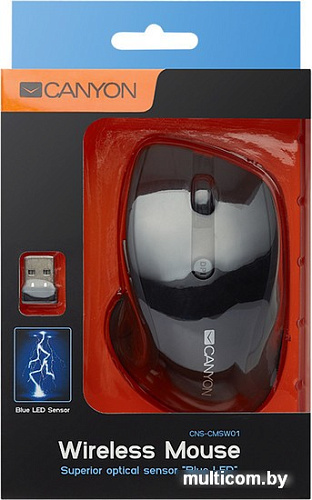 Мышь Canyon CNS-CMSW01B