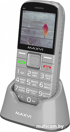 Мобильный телефон Maxvi B5 (серый)