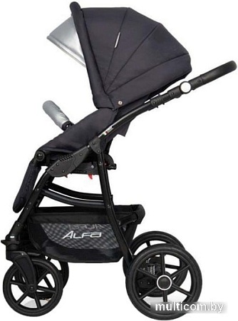 Универсальная коляска Riko Basic Alfa Ecco (2 в 1, 01)