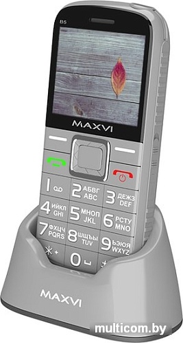 Мобильный телефон Maxvi B5 (серый)