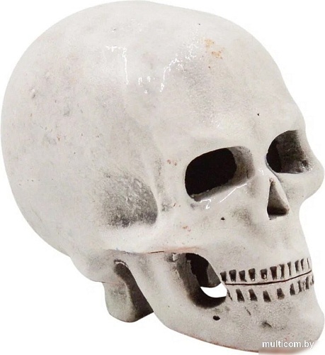 Декорация ZooExpress Иж Череп ВГ4