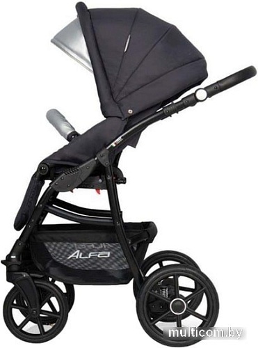 Универсальная коляска Riko Basic Alfa Ecco (2 в 1, 01)