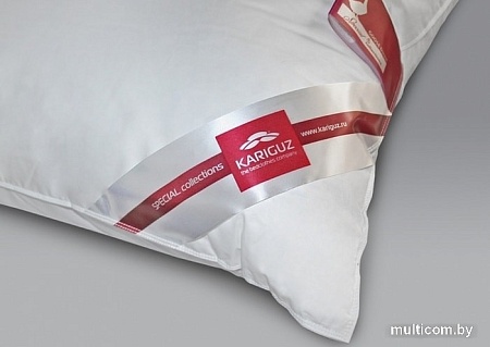 Спальная подушка Kariguz Рафаэла РФ13-5 (68x68 см)