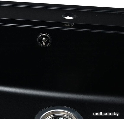 Кухонная мойка Wisent 600-26W (с сифоном GER013)