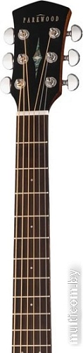 Акустическая гитара Parkwood S22M-NS
