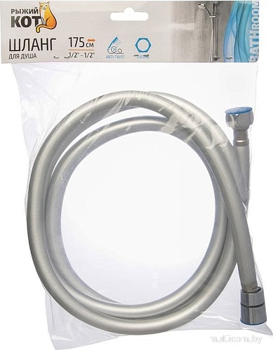 Рыжий кот R106114