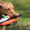 Игрушка для собак Rosewood Jolly Doggy Tough Canvas Fox 39034