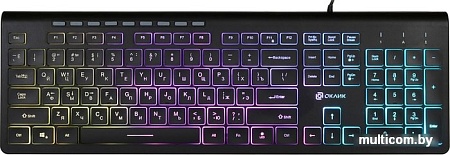 Клавиатура Oklick 490ML (черный)