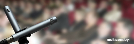 Микрофон AKG P170