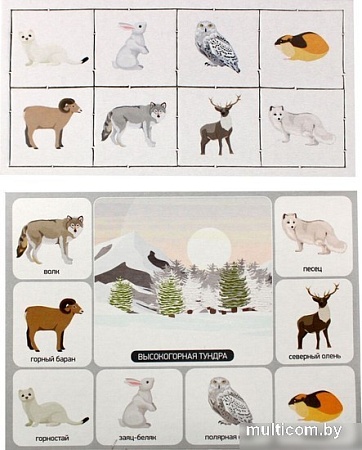 Развивающая игра Десятое королевство Кто где живет? 00078