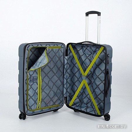 Чемодан-спиннер Francesco Molinary 336-161426/3-24 (серый)