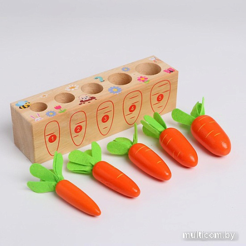 Набор развивающих игрушек Sima-Land Посади разные морковки 5492095
