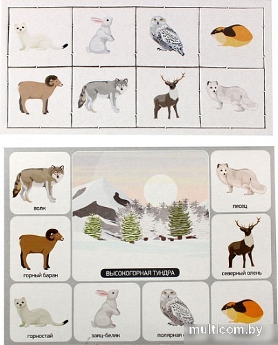 Развивающая игра Десятое королевство Кто где живет? 00078