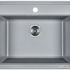 Кухонная мойка Wisent 600-29W (с сифоном GER013)