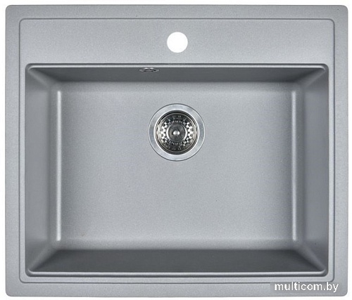 Кухонная мойка Wisent 600-29W (с сифоном GER013)