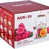 Чайник без свистка Agness Куриный переполох 934-377