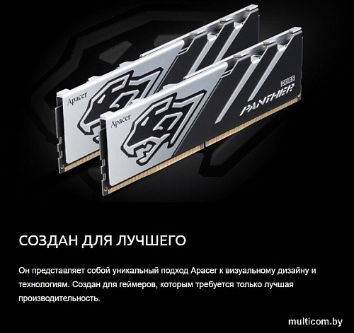 Apacer Panther 2x16ГБ DDR5 6200 МГц AH5U32G62C5327BAA-2