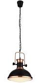 Подвесная люстра ST Luce Lanterio SL404.403.01