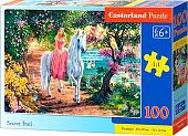 Пазл Castorland Premium Тайные тропы