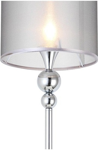 Evoluce Pazione SLE107105-01