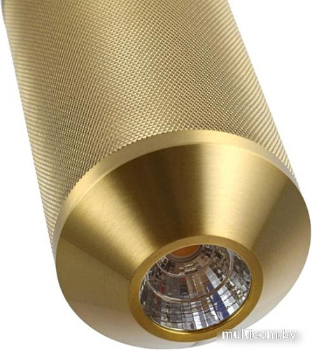 Подвесная люстра Arte Lamp Omicron A1134SP-7PB