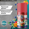 Сменный блок для освежителя воздуха Sky Max Северные ягоды (250 мл)