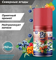 Сменный блок для освежителя воздуха Sky Max Северные ягоды (250 мл)