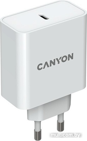 Сетевое зарядное Canyon CND-CHA65W01