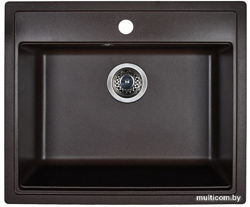 Кухонная мойка Wisent 600-27W (с сифоном GER013)