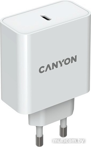 Сетевое зарядное Canyon CND-CHA65W01