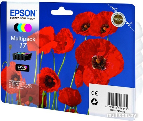 Картридж Epson C13T17064A10