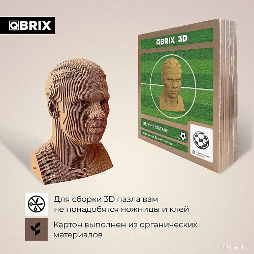 Конструктор QBRIX Эрлинг Холанн 3D 20055