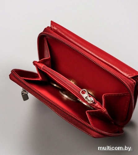 Кошелек Peterson PTN RD-29-GCL (красный)