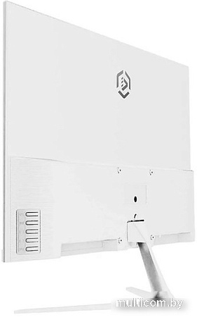 Монитор Raskat I24F10DAW