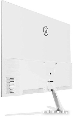 Монитор Raskat I24F10DAW