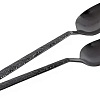 Набор столовых ложек Domenik Rock Black DMC031 (2шт)
