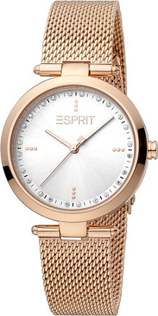 Наручные часы Esprit ES1L314M0125