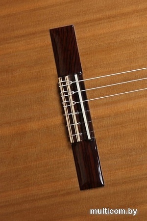 Акустическая гитара Alhambra Student Iberia Ziricote