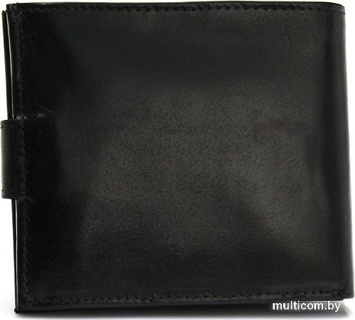 Кошелек Sanchez Casual TM-91R-213 (черный)