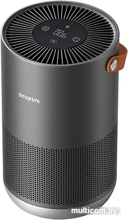 Очиститель воздуха SmartMi Air Purifier P1 ZMKQJHQP11 (темно-серый)