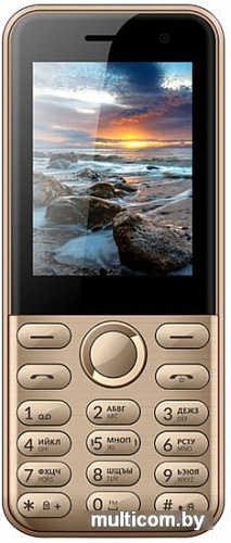 Мобильный телефон Vertex D567 (золотистый)