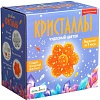 Набор для опытов Bumbaram Фигурный Кристалл Цветок оранжевый A128