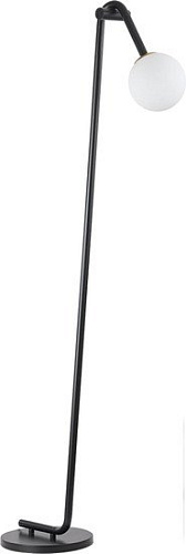 Торшер Lumion Dexter 6500/1F